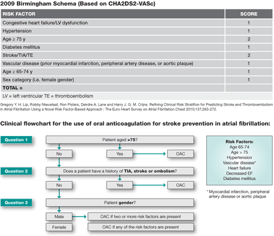 Decision Aide 2